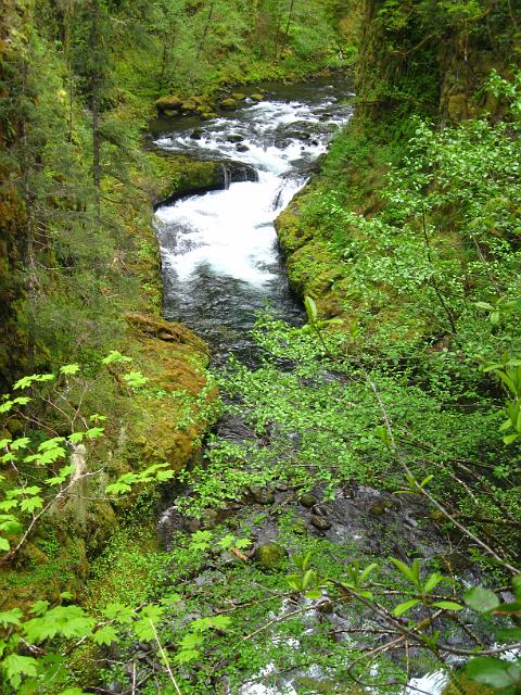 Eagle Creek-163.JPG - Eagle Creek